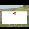 4' x 8' Yard Sign Thumbnail