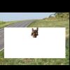 4' x 8' Yard Sign Thumbnail