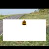 4' x 8' Yard Sign Thumbnail