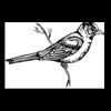 Postcards 4 " x 6 " Thumbnail