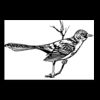 Postcards 4 " x 6 " Thumbnail