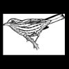 Postcards 4 " x 6 " Thumbnail