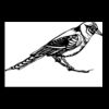 Postcards 4 " x 6 " Thumbnail
