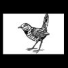 Postcards 4 " x 6 " Thumbnail