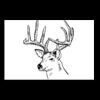 Postcards 4 " x 6 " Thumbnail