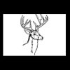 Postcards 4 " x 6 " Thumbnail