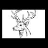 Postcards 4 " x 6 " Thumbnail