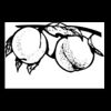 Postcards 4 " x 6 " Thumbnail