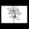 Postcards 4 " x 6 " Thumbnail