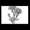 Postcards 4 " x 6 " Thumbnail