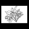 Postcards 4 " x 6 " Thumbnail