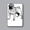 ID Badges 4x6 Thumbnail