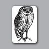 ID Badges 4x6 Thumbnail