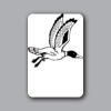 ID Badges 4x6 Thumbnail