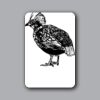 ID Badges 4x6 Thumbnail