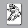 ID Badges 4x6 Thumbnail