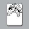 ID Badges 4x6 Thumbnail