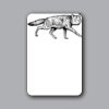 ID Badges 4x6 Thumbnail
