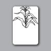 ID Badges 4x6 Thumbnail