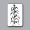 ID Badges 4x6 Thumbnail