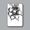 ID Badges 4x6 Thumbnail