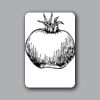 ID Badges 4x6 Thumbnail