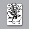 ID Badges 4x6 Thumbnail