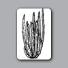 ID Badges 4x6 Thumbnail