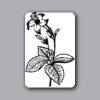 ID Badges 4x6 Thumbnail