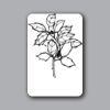 ID Badges 4x6 Thumbnail