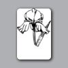 ID Badges 4x6 Thumbnail