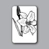 ID Badges 4x6 Thumbnail