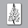 ID Badges 4x6 Thumbnail