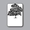 ID Badges 4x6 Thumbnail