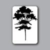 ID Badges 4x6 Thumbnail