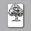 ID Badges 4x6 Thumbnail