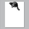 18" x 24" Yard Sign Verticle Thumbnail