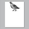 18" x 24" Yard Sign Verticle Thumbnail