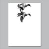 18" x 24" Yard Sign Verticle Thumbnail