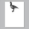 18" x 24" Yard Sign Verticle Thumbnail