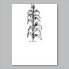 18" x 24" Yard Sign Verticle Thumbnail