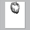 18" x 24" Yard Sign Verticle Thumbnail