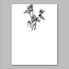 18" x 24" Yard Sign Verticle Thumbnail